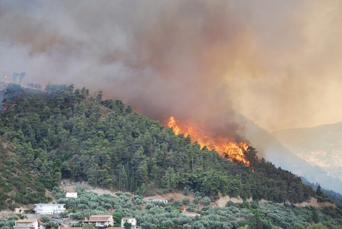 Papież wyraża bliskość ofiarom burz i pożarów w Grecji i Włoszech